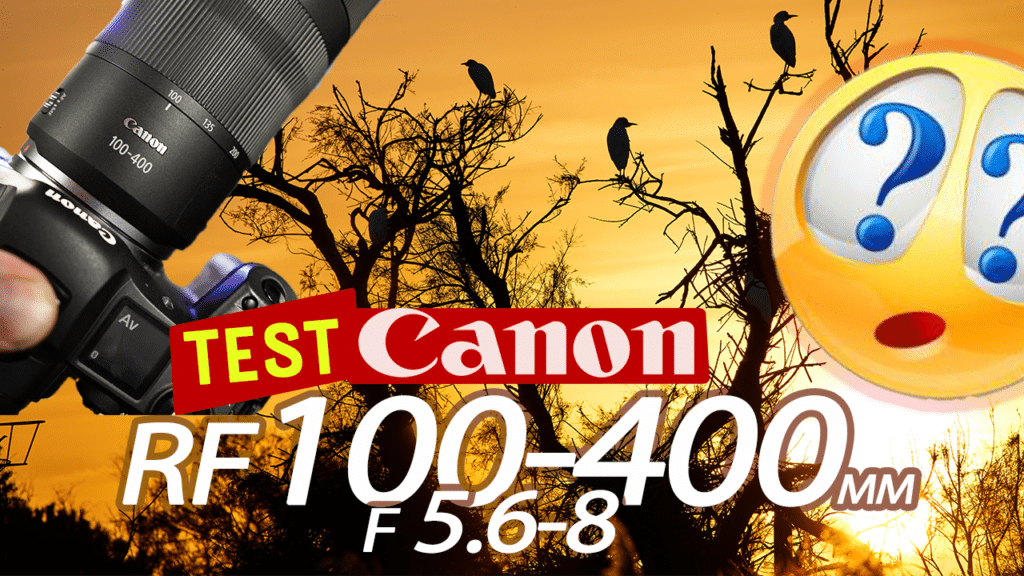 Test Canon RF 100-400mm F5.6-8 IS USM
