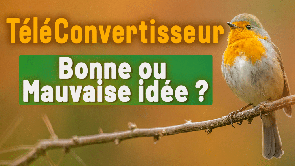 téléconvertisseur