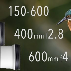 comparatif 400mm F2.8 600mm F4