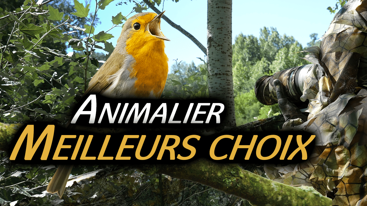 guide achat animalier