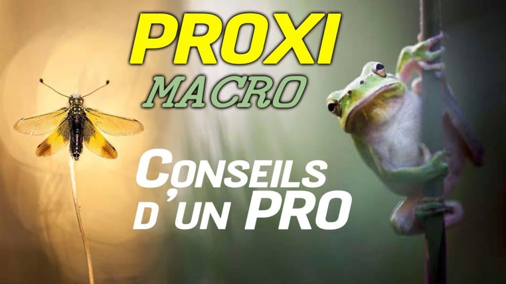 conseils-photo-macro