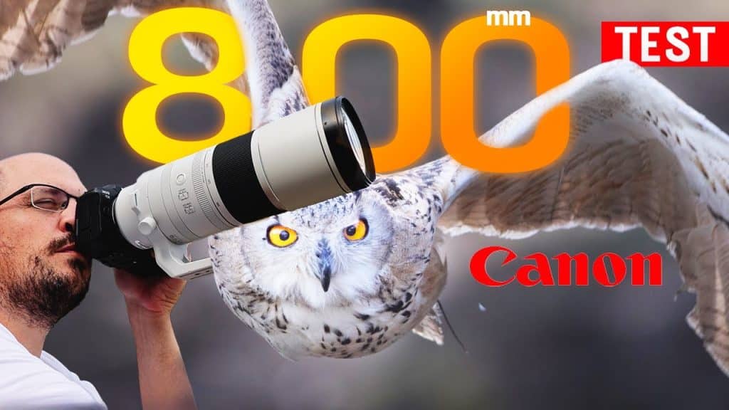 test-canon-200-800mm