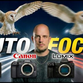 comparatif-autofocus-sonyA7V-canonR6III-lumixS1II-nikonZ6III